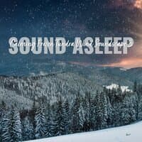 Sound Asleep: Calming Frozen Tundra Wind Soundscape 3