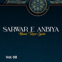 Sarwar E Anbiya, Vol.08