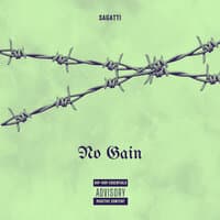 No Gain (Speed Up)