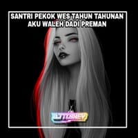 SANTRI PEKOK WES TAHUN TAHUNAN AKU WALEH DADI PREMAN