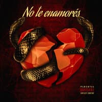 No Te Enamorés