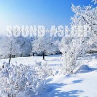 Sound Asleep: Winter Frosted Garden Wind Ambience 2