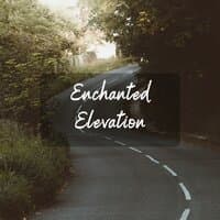 Enchanted Elevation