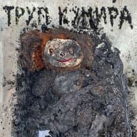 ТРУП КУМИРА