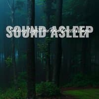 Sound Asleep: Soothing Nighttime Rain Drizzle Magic