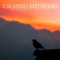 Calming Birdsong