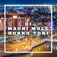 DJ Mauni Mole Bukku Toni