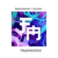 Fluorescence