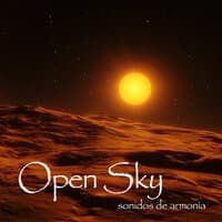 Open Sky