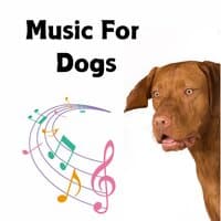 Music For Dogs