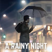 A Rainy Night