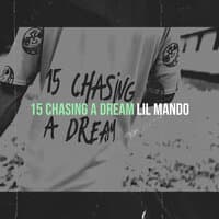 15 Chasing a Dream