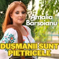 Dusmanii Sunt Pietricele