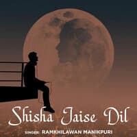 Shisha Jaise Dil