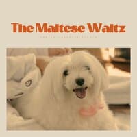 The Maltese Waltz