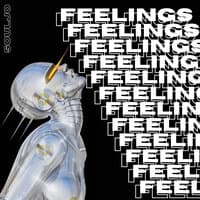 Feelings