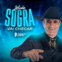 Minha Sogra Vai Chegar