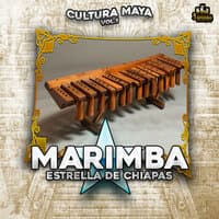 Cultura Maya Vol. 1