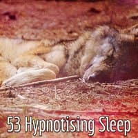 53 Hypnotising Sleep