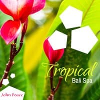 Tropical Bali Spa