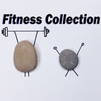 Fitness Collection