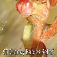 69 Cranky Babies Relief