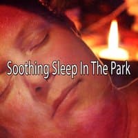 Soothing Sleep In The Park