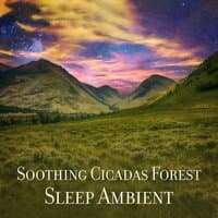 Soothing Cicadas Forest - Sleep Ambient, Dreamy Nature Chants, Listen Relaxing Crickets, Calm Outdoor Camping