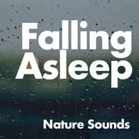 Falling Asleep