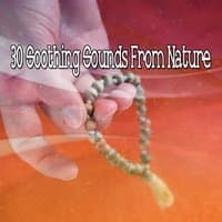 30 Soothing Sounds From Nature