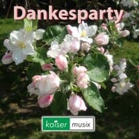 Dankesparty