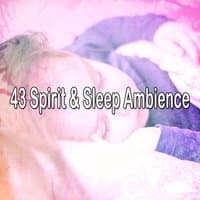 43 Spirit & Sleep Ambience