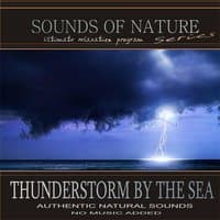 Thunderstorm by the Sea (Sounds of Nature)