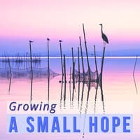 Growing a Small Hope