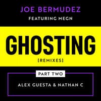 Ghosting: Remixes, Pt. 2