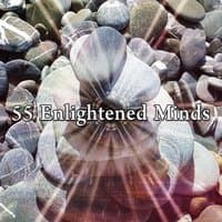 55 Enlightened Minds