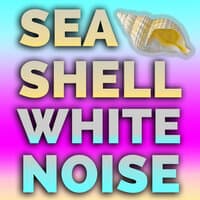 Seashell White Noise