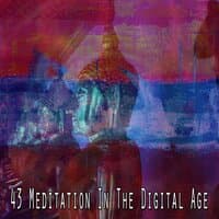 43 Meditation in the Digital Age