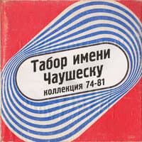 Коллекция 74-81