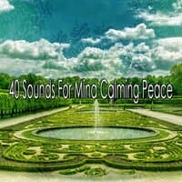 40 Sounds for Mind Calming Peace