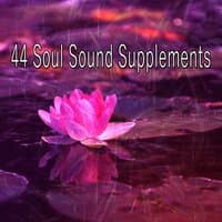 44 Soul Sound Supplements