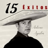 15 Éxitos