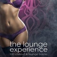 The Lounge Experience (100 Chillout & Lounge Tracks)