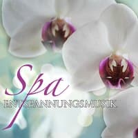 Spa Entspannungsmusik Piano Musik selection: Tiefenentspannung Hintergrundmusik, Beste Klaviermusik für Wellness, Entspannungsmassage, Sauna & Yoga