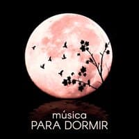 Música para Dormir - Música New Age para la Relajación, el Yoga y la Meditación, la Música de Fondo para el Masaje, Spa & Wellness, el Sonido del Océano, la Lluvia con Música de Piano y Música de la Flauta