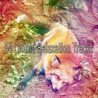 54 Untold Relaxation Tracks