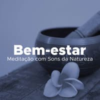 Bem-estar #20: uma Coleção do Melhor da Música para Meditação com Sons da Natureza