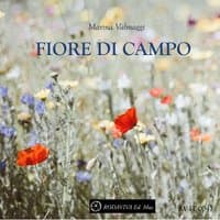 Fiore di campo