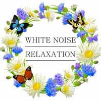 White Noise Relaxation