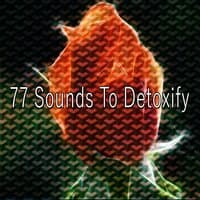 77 Sounds to Detoxify